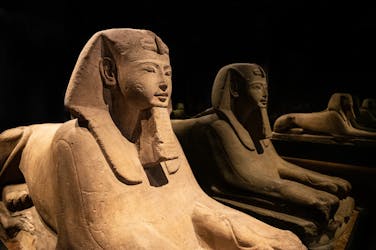 Recorrido por Turín con visita guiada al Museo Egipcio